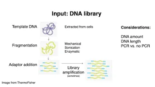 MCB 182 Lecture 2.1 - DNA sequencing overview
