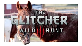 The Glitcher 3: Bug Hunt