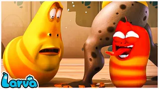 🔴LARVA FULL EPISODE  NEW VERSION | CARTOON BOX 336 BY SMTOON ASIA | HILARIOUS CARTOON COMPILATION