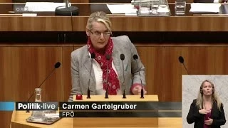 Carmen Gartelgruber - Debatte zum Budget 2014, 2015 - Volksanwaltschaft