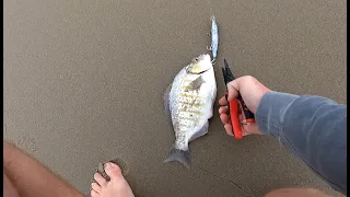 Surf Fishing California | Finally got one on the Lucky Craft!!