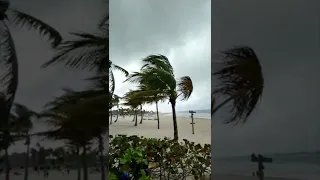 Начинается шторм в Доминикане. Звуки океана #shorts