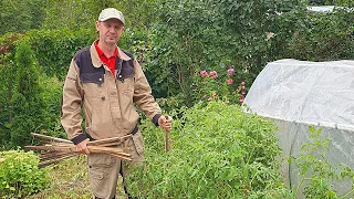 Why All Our Neighbors Quarreled? Grand disputes in Russian Dacha (Village) Community