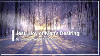 Jesu, Joy of Man's Desiring with Lyrics J S Bach (Choral) (4K)
