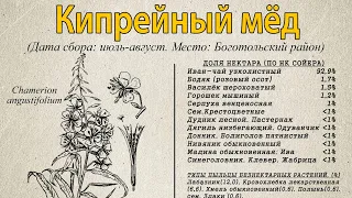 КИПРЕЙНЫЙ МЁД, с иван-чая, обзор полученных медов 2022, Пасека Старчевских, Сибирь
