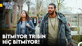 Sanem'in Aşkı Bulma Yolculuğu #102 - Erkenci Kuş