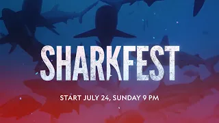 Sharkfest | Every Sunday, 9 PM | #NatGeoWild | RealisHere