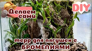 Делаем террариум для древолазов с БРОМЕЛИЯМИ!