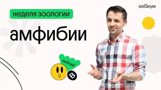 День 2. Амфибии. Биологический сериал | ЕГЭ Биология 2020 | Даниил Дарвин