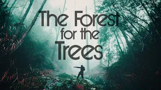 The Forest For The Trees - Official Trailer