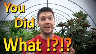 The Best Organic Fertilizer for Plants (Part 1) | It's Free and Urine is Full of Nutrients!