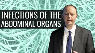 Infections of the Abdominal Organs