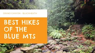 Best Blue Mountains Hikes - Grand Canyon Circuit