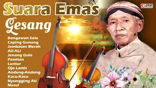 Suara Emas '' GESANG.Bengawan Solo