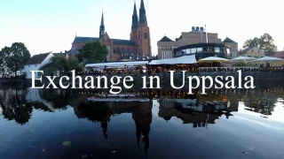 VU students on exchange - University of Uppsala Sweden