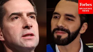 'Incarceration Works': Tom Cotton Praises El Salvador President Bukele's Crackdown On Crime