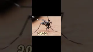 2022 mosquito and 5000 bce mosquito👉🔥#shorts #viralshorts