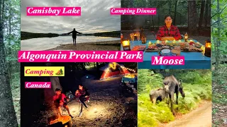 Algonquin Provincial Park-Camping,Canada| lucky to see Moose|charcuterie board|@AparnnaWonderworld