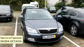 Удачная покупка в Германии Skoda Octavia и неудачные поиски VW Golf7