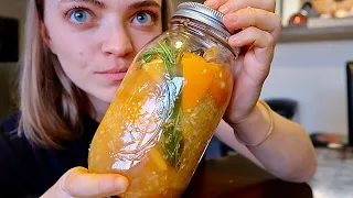 FIRE CIDER HEALTH TONIC- Natural Cold & Flu Remedy