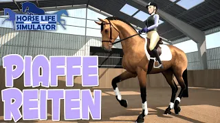 Ich hab die Piaffe entdeckt!🤩 🐴 Horse Life Simulator Demo