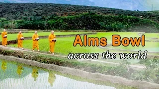 Alms Bowl Across The World | Ba Vang Pagoda