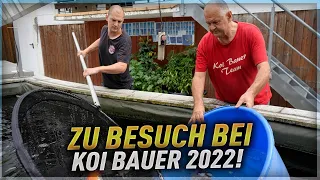 Zu Besuch bei Koi Bauer 2022 !