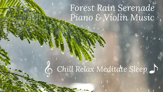 "Piano and Violin Forest Rain Serenade: A Musical Journey of Tranquility and Nature"