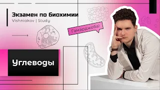 Экзамен по биохимии | УГЛЕВОДЫ