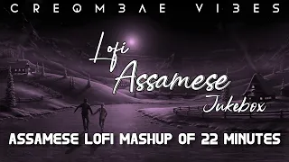 Assamese Lofi Mixtape-Assamese Mashup-Edm Mashup-Assamese Jukebox-Assamese EDM-22 Min. Of Lofi Songs