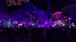 EDC Las Vegas '24(1)