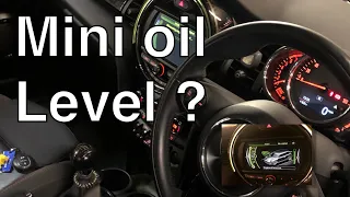 How to check oil level Mini Cooper. mini cooper oil level.