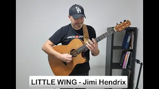 Adam Palma plays Little Wing