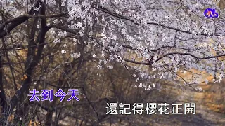 櫻花樹下 | 張敬軒 | 粵語 | 高清 | 伴唱版本 | 卡拉OK | KARAOKE | KTV
