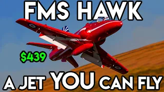 A Nearly Perfect RC Jet Experience (FMS Hawk 80mm)