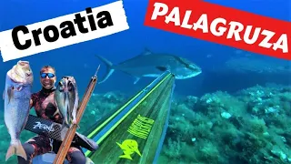 Palagruža  - Spearfisherman’s most wanted place