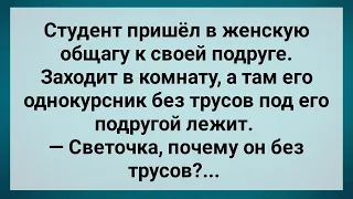 Студент Пришел в Женское Общежитие! Сборник Свежих Анекдотов! Юмор!