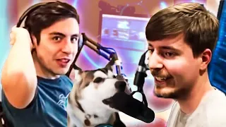 5 Times Shroud Was Too Wholesome