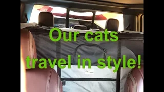 Our Cats Travel In Style | Cats on the move | Cats in RV