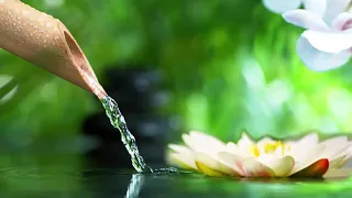 Relaxing Piano Music Bamboo Water Fountain,Sleep Music, Relaxing Music, Meditation Music # 11