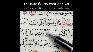 ОБРАТИТЕ ВНИМАНИЕ‼️(Обучение Корана)