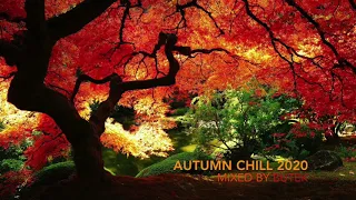 Autumn Chill 2020 (Progressive/Electronic/Trance/Downtempo mix by BUTEK)