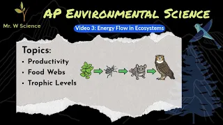 Video 3: Energy Flow in Ecosystems (APES Unit 1 - Living World)