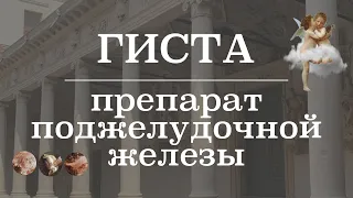 Строение поджелудочной железы и разбор препарата (ациноциты, островки лангерганса) | Гистология