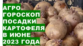 Агрогороскоп посадки картофеля в июне 2023 года. Агрогороскоп посадки картоплі в червні 2023 року