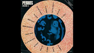 Pebbles Vol. 2 Original '60s Punk Rock Classics