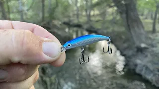 OZARK TRAIL! Jerkbait. Will This Cheap Lure Catch Them? Finesse Creek Fishing for Bass on a Budget