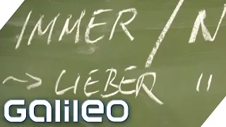 Checkerwissen Schule & Lernen | Galileo Lunch Break