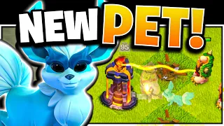 BEST Hero Pet Combination with NEW Spirit Fox Pet!