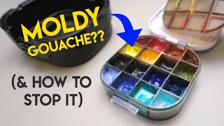 How to prevent MOLD in your gouache palette ✶ Brand comparison mold tests